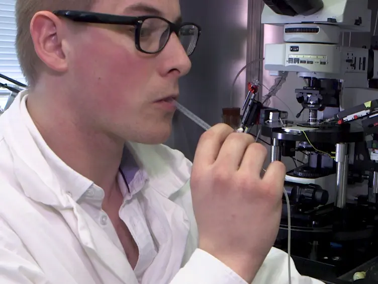Single Cell Multiplex Reverse Transcription Polymerase Chain Reaction After Patch-clamp