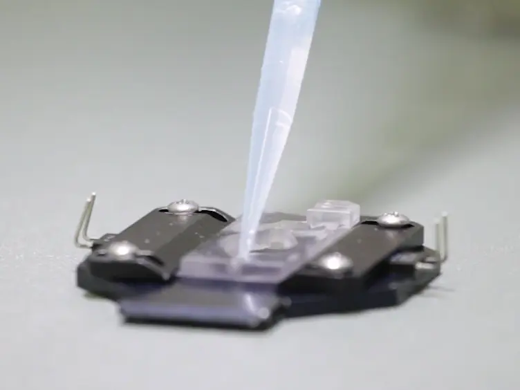 Micromanipulation Techniques Allowing Analysis of Morphogenetic Dynamics and Turnover of Cytoskeletal Regulators