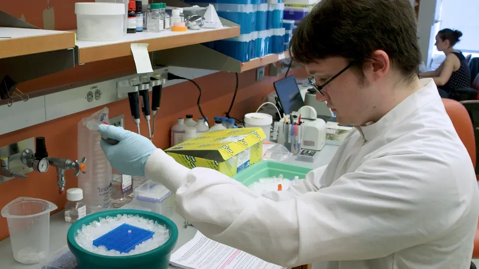 Genome-wide Surveillance of Transcription Errors in Eukaryotic Organisms