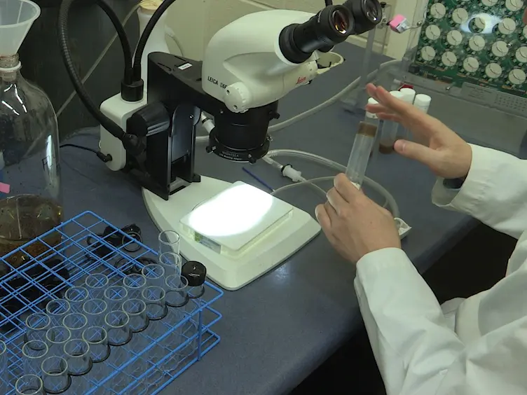 Measuring Exercise Levels in <em>Drosophila melanogaster</em> Using the Rotating Exercise Quantification System (REQS)