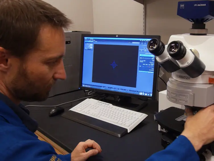 Mapping Metabolism: Monitoring Lactate Dehydrogenase Activity Directly in Tissue