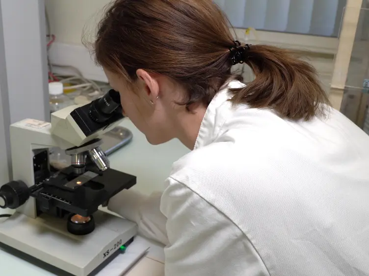 Assessment of Kidney Function in Mouse Models of Glomerular Disease