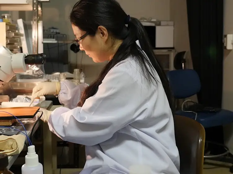 Optogenetics Identification of a Neuronal Type with a Glass Optrode in Awake Mice