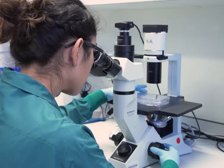Induction and Validation of Cellular Senescence in Primary Human Cells