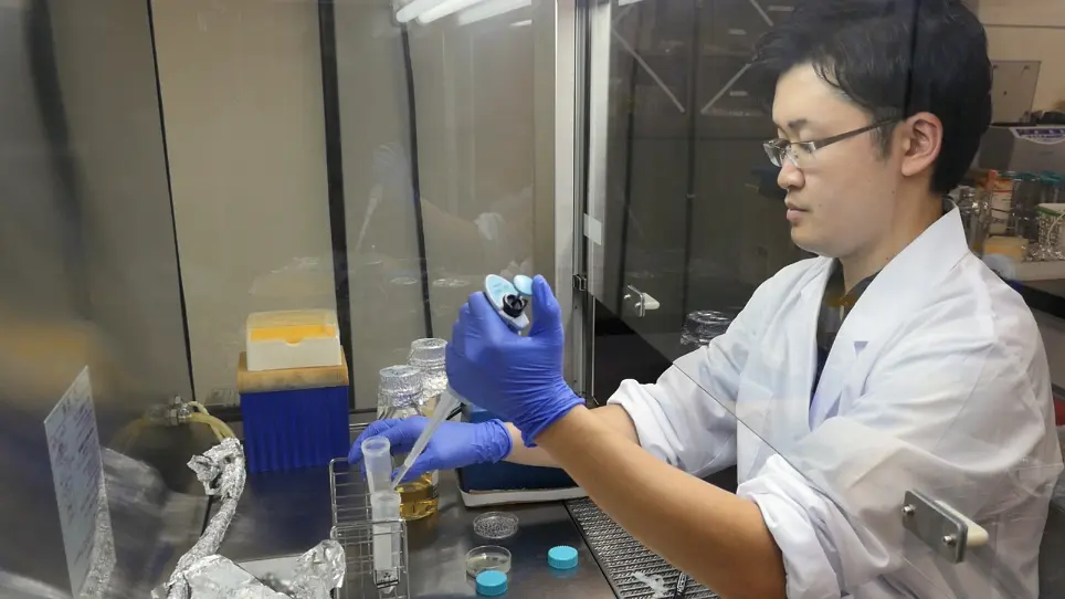 High-Resolution Comparison of Bacterial Conjugation Frequencies