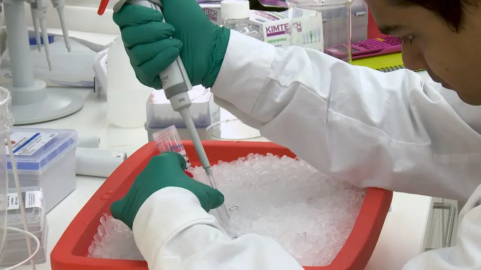 Rapid Isolation of the Mitoribosome from HEK Cells
