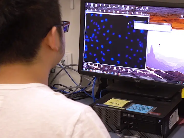 Live Cell Imaging of the TGF-	&beta;/Smad3 Signaling Pathway <em>In Vitro</em> and <em>In Vivo</em> Using an Adenovirus Reporter System