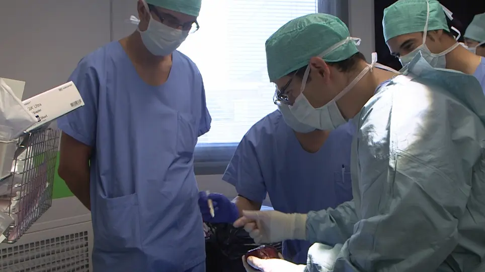 Evaluation of the Feasibility, Safety, and Accuracy of an Intraoperative High-intensity Focused Ultrasound Device for Treating Liver Metastases