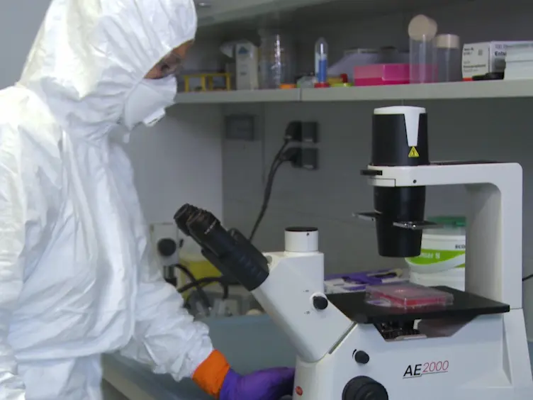Forced Salivation As a Method to Analyze Vector Competence of Mosquitoes