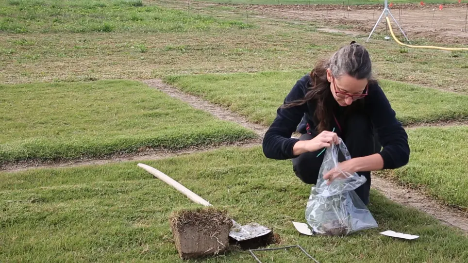 Measuring Stolons and Rhizomes of Turfgrasses Using a Digital Image Analysis System