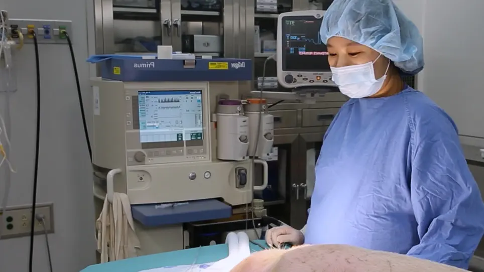 Porcine As a Training Module for Head and Neck Microvascular Reconstruction