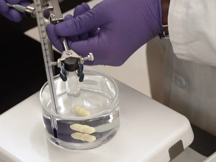Luminophore Formation in Various Conformations of Bovine Serum Albumin by Binding of Gold(III)