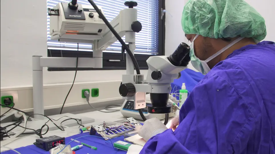 Veno-Venous Extracorporeal Membrane Oxygenation in a Mouse