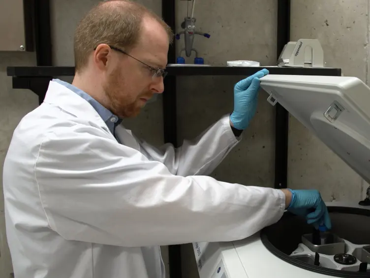 Live-Cell Imaging Assays to Study Glioblastoma Brain Tumor Stem Cell Migration and Invasion