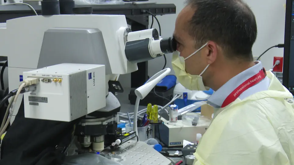 Micropuncture of Bowman's Space in Mice Facilitated by 2 Photon Microscopy
