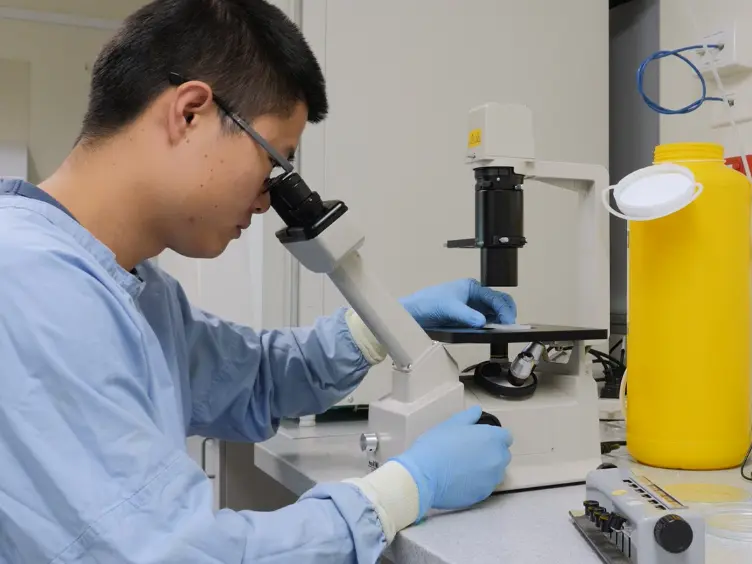 Analysis of Epididymal Protein Synthesis and Secretion