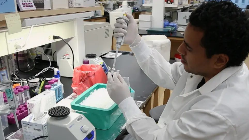 Isolation of Primary Mouse Hepatocytes for Nascent Protein Synthesis Analysis by Non-radioactive L-azidohomoalanine Labeling Method