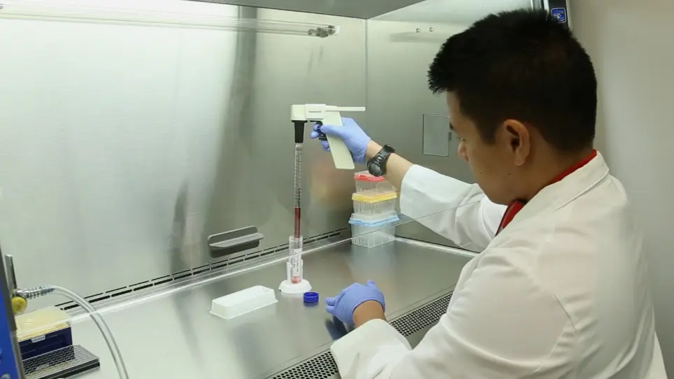 High-throughput Measurement of Plasma Membrane Resealing Efficiency in Mammalian Cells