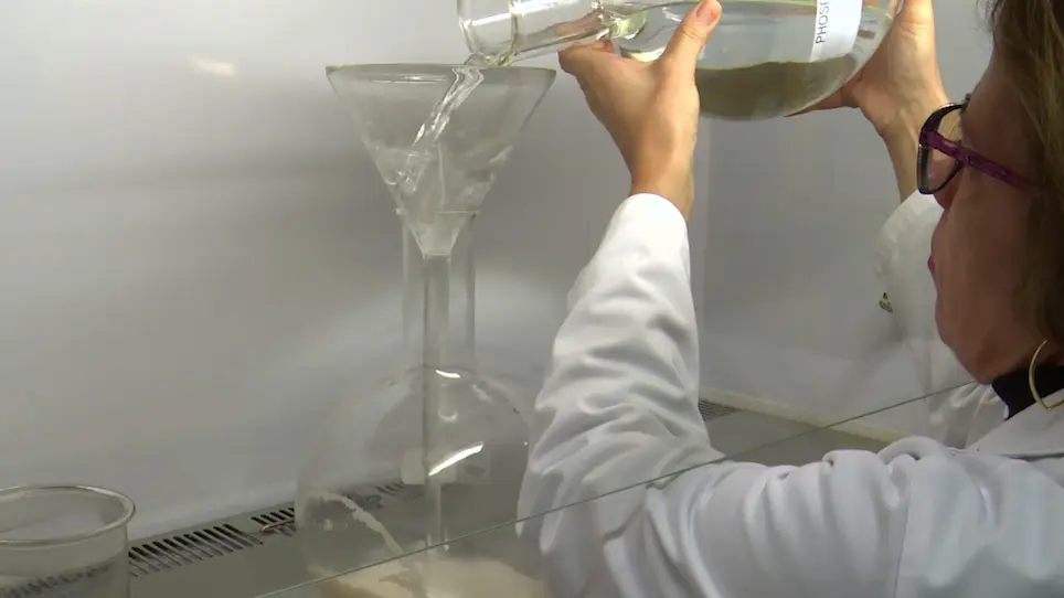 Purification of Extracellular Trypanosomes, Including African, from Blood by Anion-Exchangers (Diethylaminoethyl-cellulose Columns)