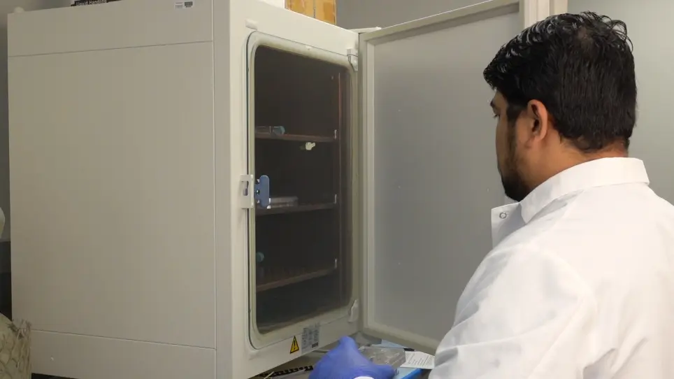 Inducible and Reversible Dominant-negative (DN) Protein Inhibition