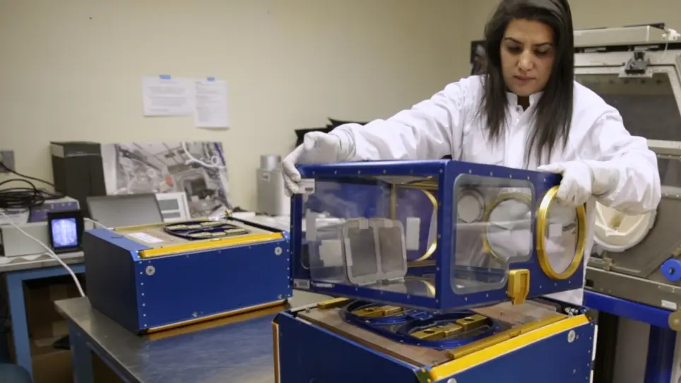 Exploring the Effects of Spaceflight on Mouse Physiology using the Open Access NASA GeneLab Platform
