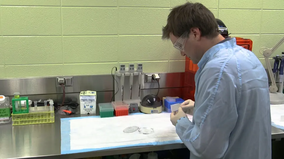 High-throughput Measurement of Gut Transit Time Using Larval Zebrafish