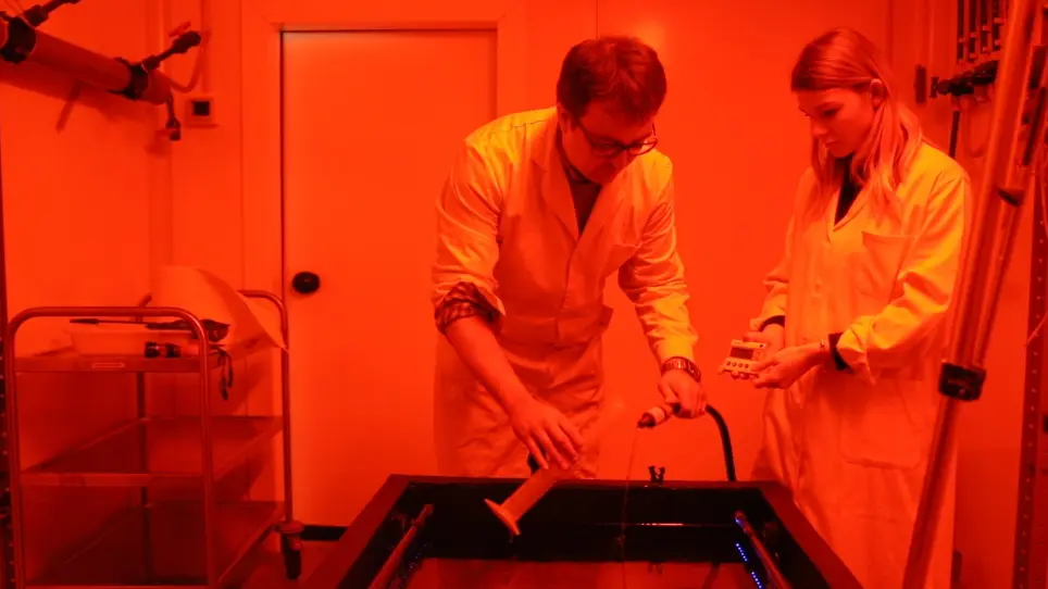 Long-term Video Tracking of Cohoused Aquatic Animals: A Case Study of the Daily Locomotor Activity of the Norway Lobster (<em>Nephrops norvegicus</em>)