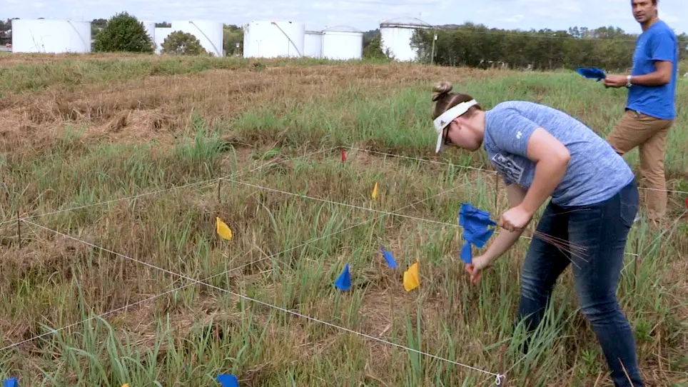 Sampling Soils in a Heterogeneous Research Plot