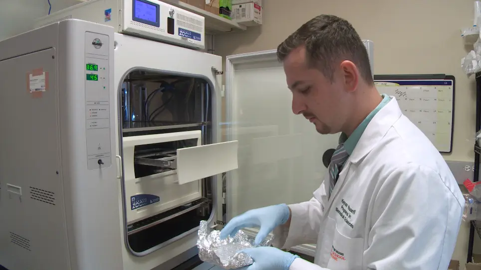 LDL Cholesterol Uptake Assay Using Live Cell Imaging Analysis with Cell Health Monitoring