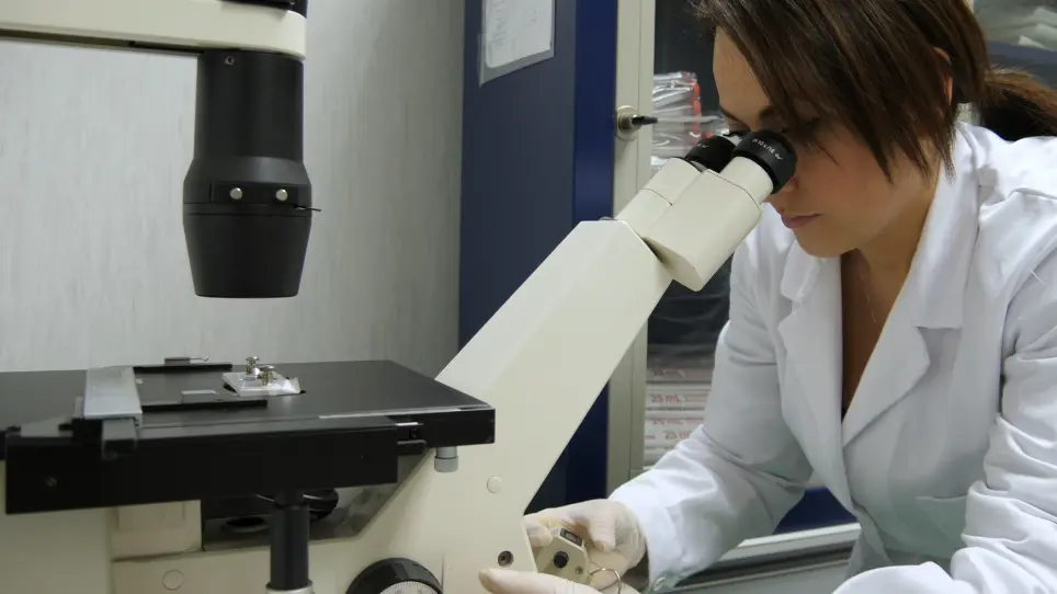 HUVEC Tube-formation Assay to Evaluate the Impact of Natural Products on Angiogenesis
