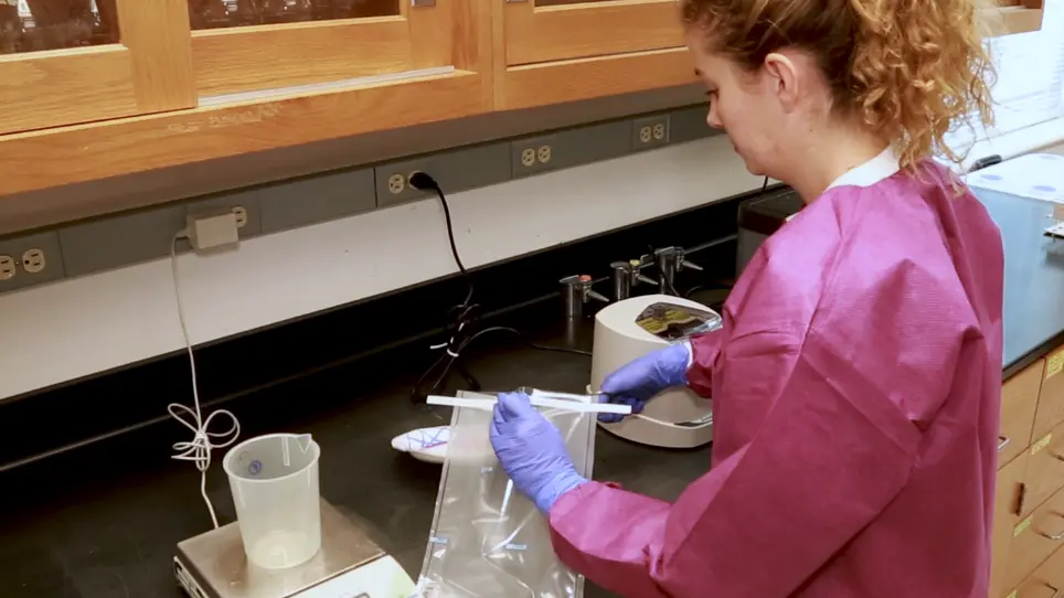 Quasi-metagenomic Analysis of <em>Salmonella</em> from Food and Environmental Samples