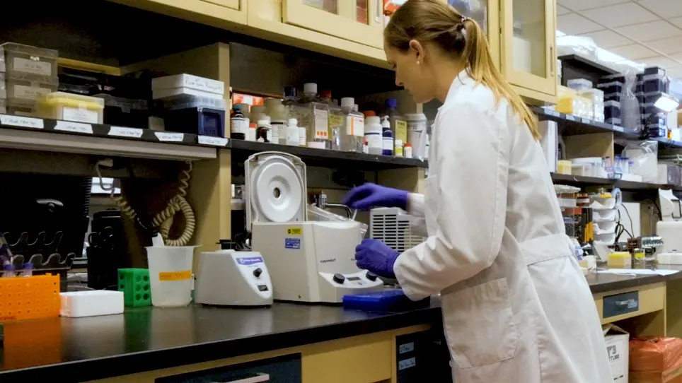 A Rat Methyl-Seq Platform to Identify Epigenetic Changes Associated with Stress Exposure