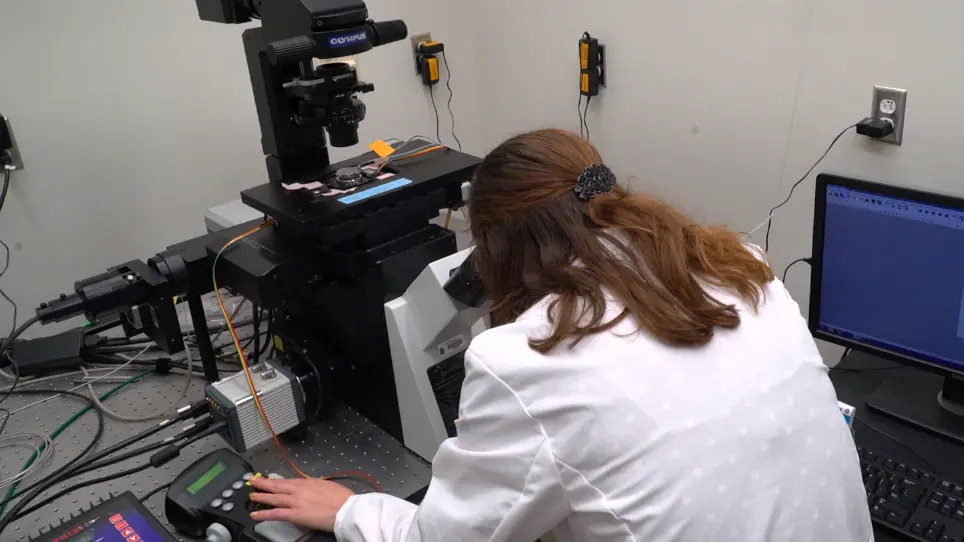 Measurement of Force-Sensitive Protein Dynamics in Living Cells Using a Combination of Fluorescent Techniques