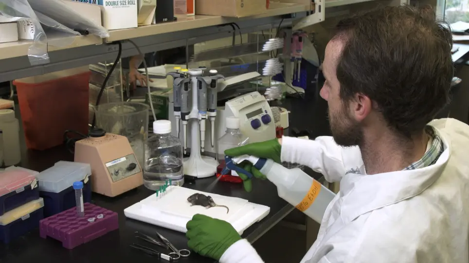 Digestion of the Murine Liver for a Flow Cytometric Analysis of Lymphatic Endothelial Cells