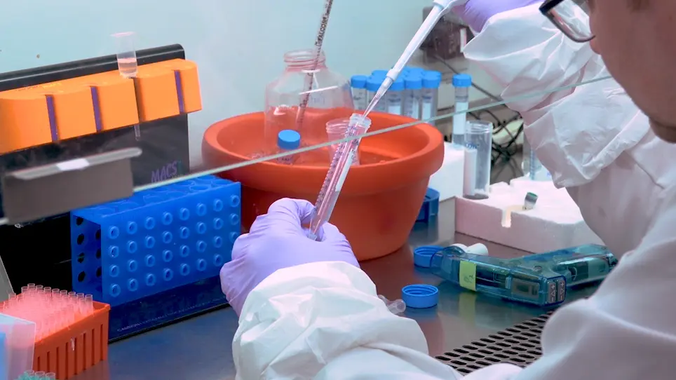 Establishment of the Dual Humanized TK-NOG Mouse Model for HIV-associated Liver Pathogenesis