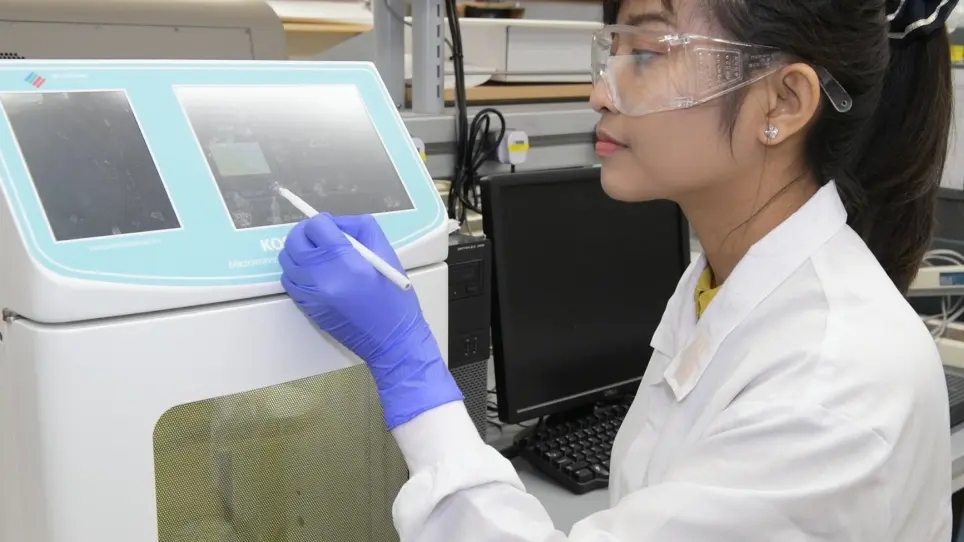 Multiplexed Fluorescent Immunohistochemical Staining, Imaging, and Analysis in Histological Samples of Lymphoma