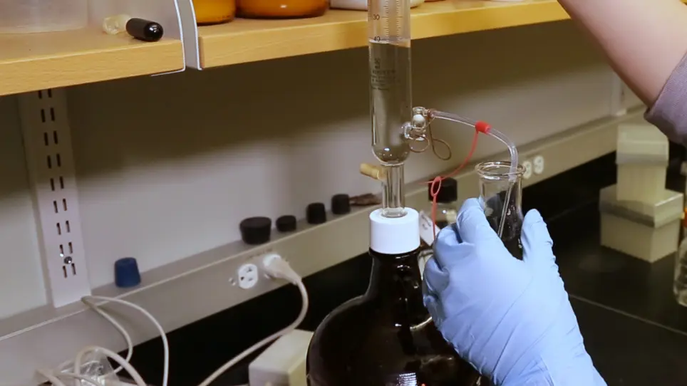 A Plate Competition Assay As a Quick Preliminary Assessment of Disease Suppression