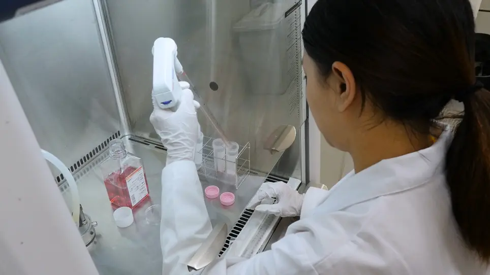 Isolation and Characterization of Human Umbilical Cord-derived Mesenchymal Stem Cells from Preterm and Term Infants