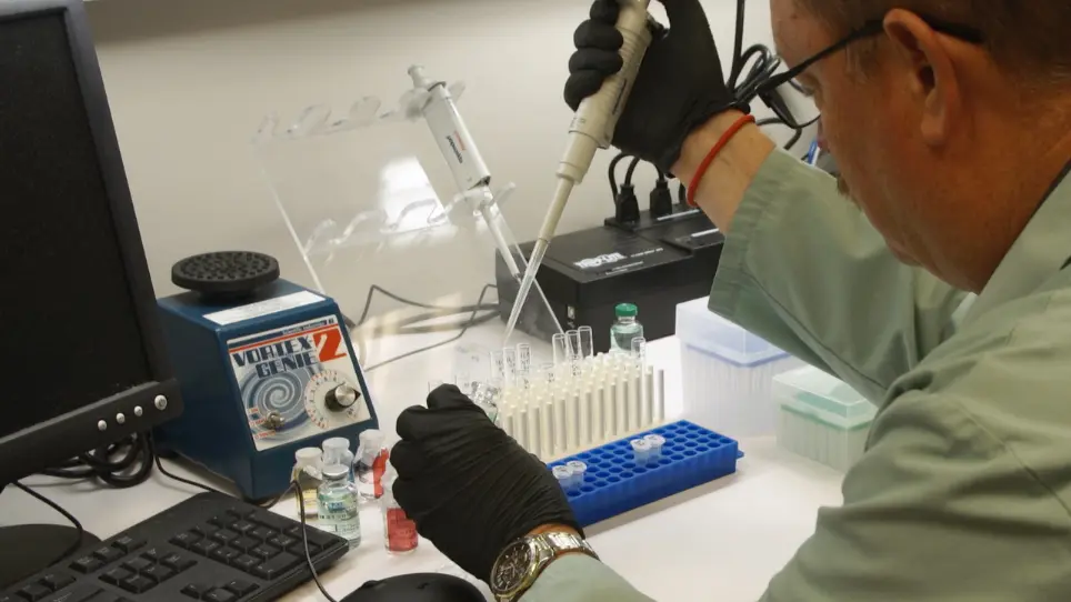 Detection of Endotoxin in Nano-formulations Using Limulus Amoebocyte Lysate (LAL) Assays