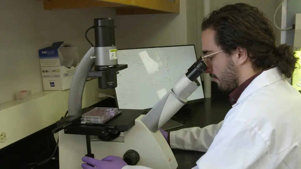 <em>In Vitro</em> Scratch Assay to Demonstrate Effects of Arsenic on Skin Cell Migration