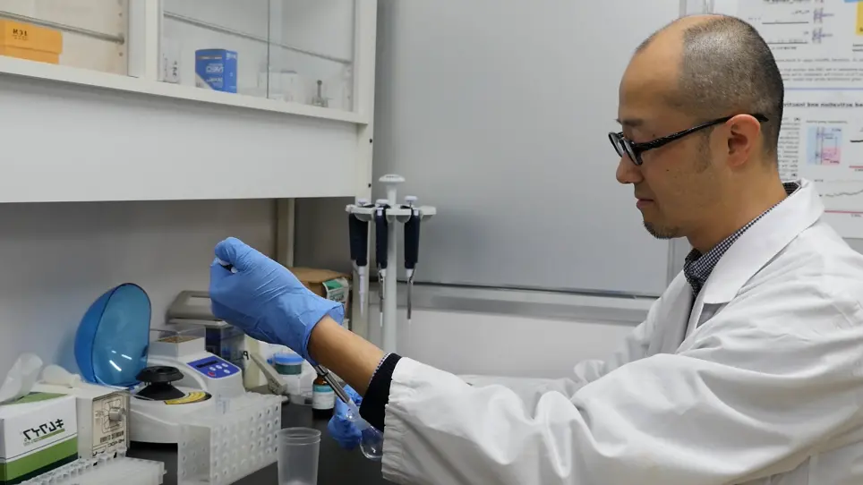 Lipid Bilayer Experiments with Contact Bubble Bilayers for Patch-Clampers