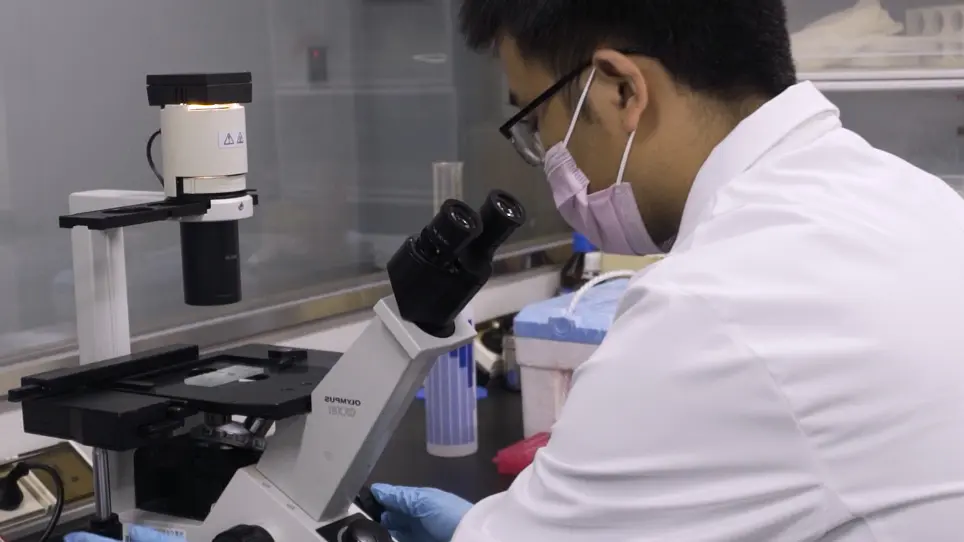 Isolation, Purification, and Differentiation of Osteoclast Precursors from Rat Bone Marrow