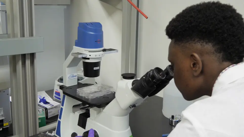 In Vitro Assays to Evaluate the Migration, Invasion, and Proliferation of Immortalized Human First-trimester Trophoblast Cell Lines