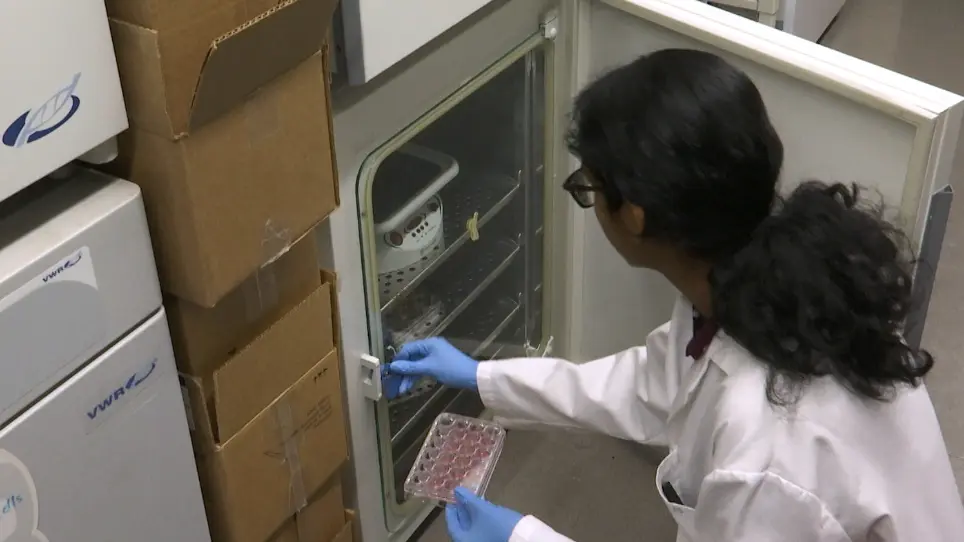 Production of Pseudotyped Particles to Study Highly Pathogenic Coronaviruses in a Biosafety Level 2 Setting