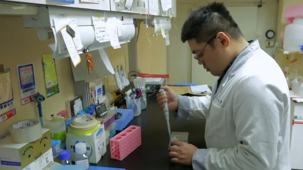 Primary Culture of Rat Adrenocortical Cells and Assays of Steroidogenic Functions