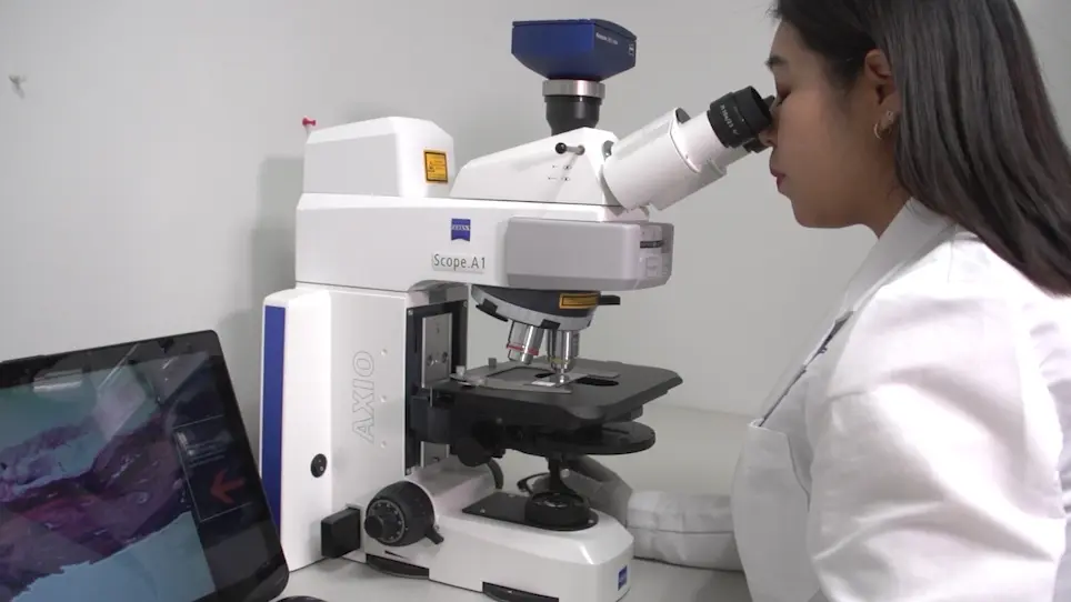 Measuring Bone Remodeling and Recreating the Tumor-Bone Microenvironment Using Calvaria Co-culture and Histomorphometry