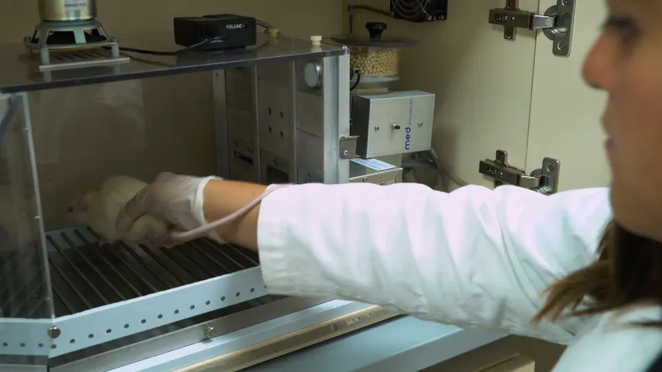 Three Laboratory Procedures for Assessing Different Manifestations of Impulsivity in Rats