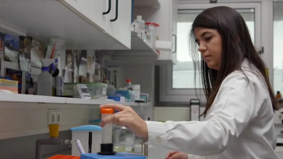 Yeast As a Chassis for Developing Functional Assays to Study Human P53