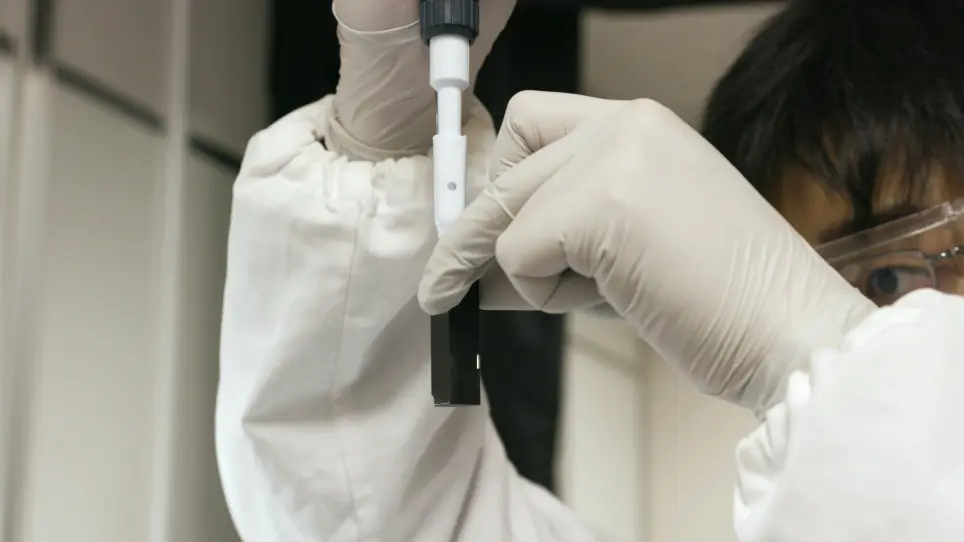 Real-time Observation of the DNA Strand Exchange Reaction Mediated by Rad51