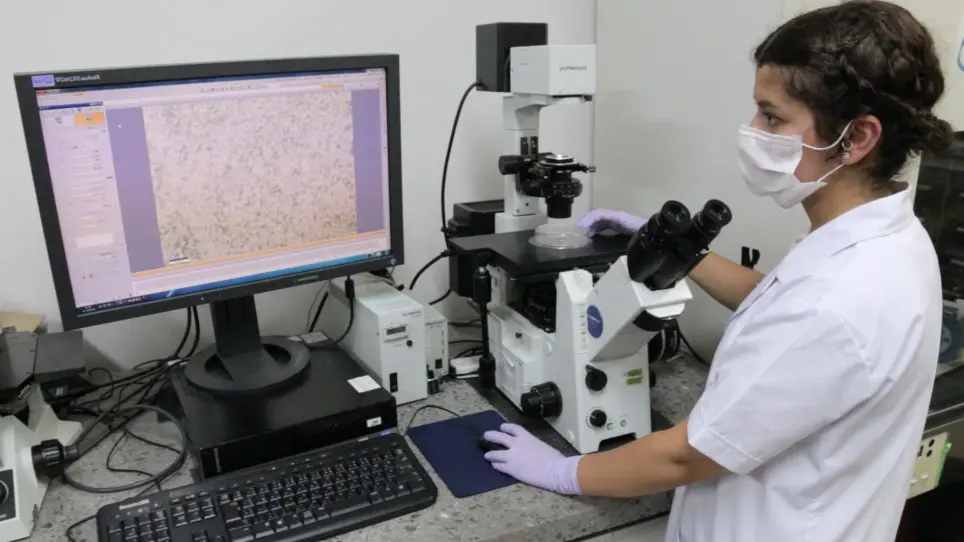 Effect of Anti-c-fms Antibody on Osteoclast Formation and Proliferation of Osteoclast Precursor In Vitro